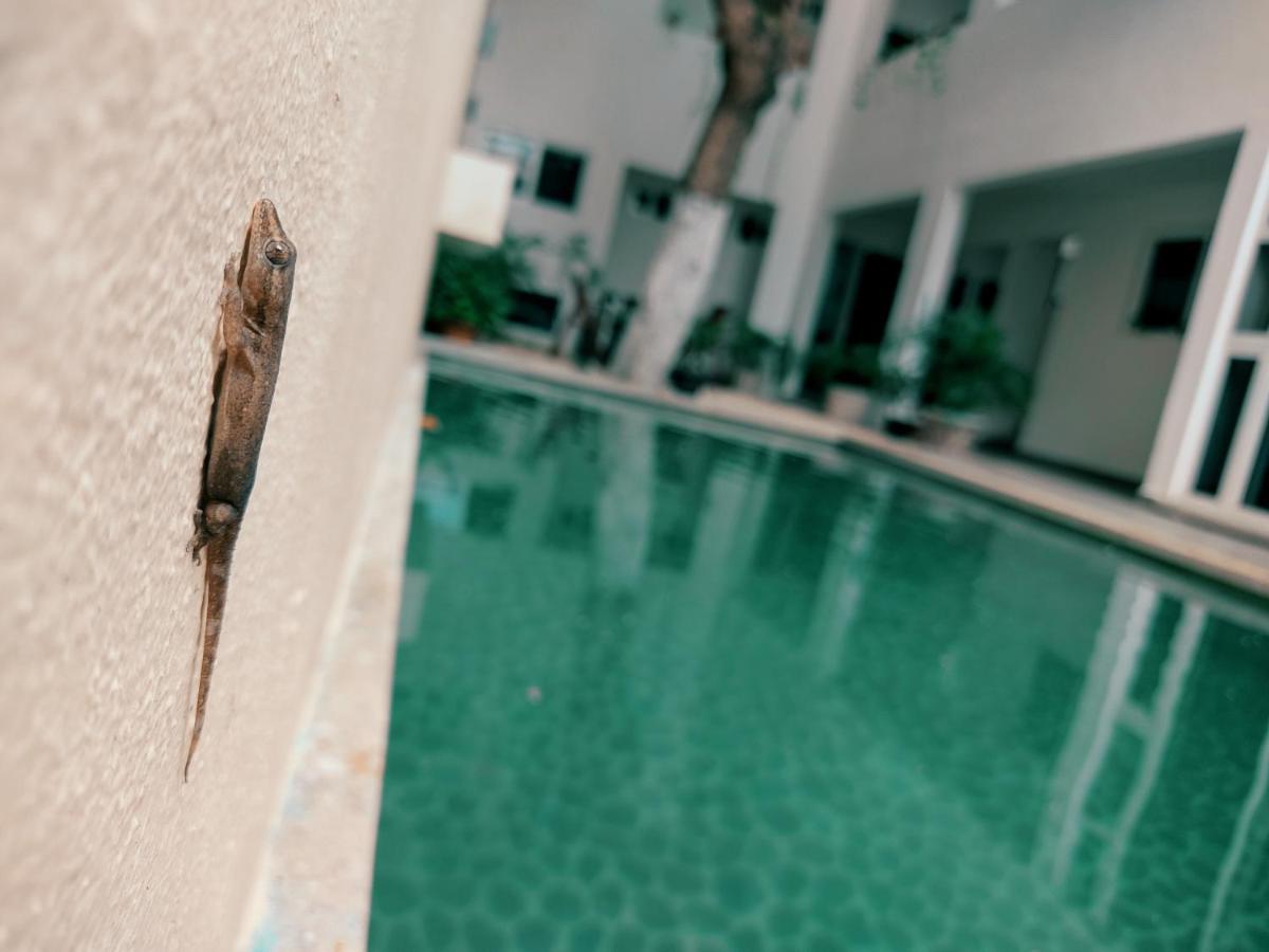 Cozy Studios Zazil-Ha Playa del Carmen Exterior foto