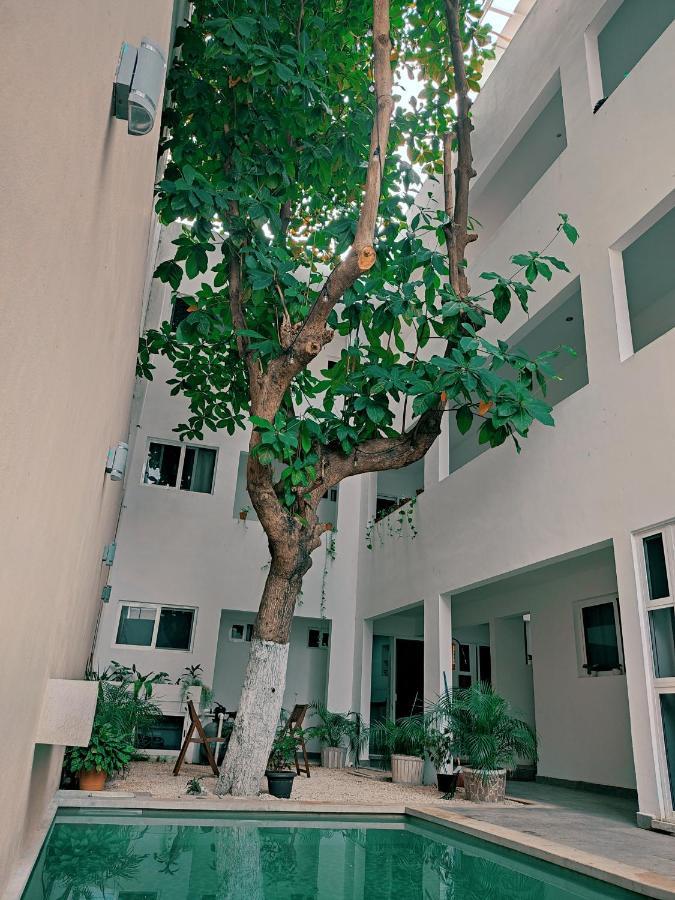 Cozy Studios Zazil-Ha Playa del Carmen Exterior foto