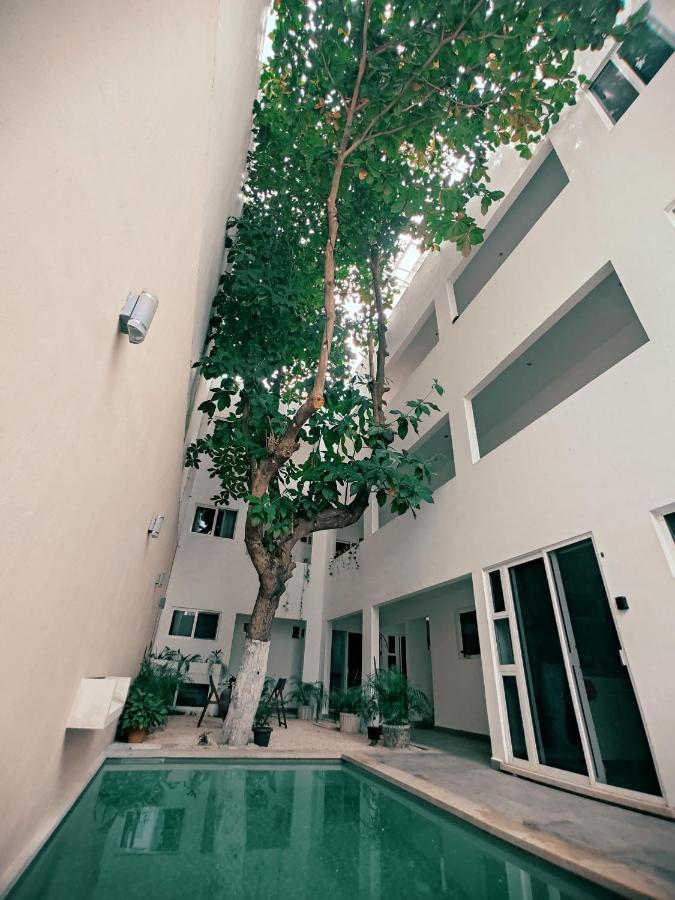 Cozy Studios Zazil-Ha Playa del Carmen Exterior foto